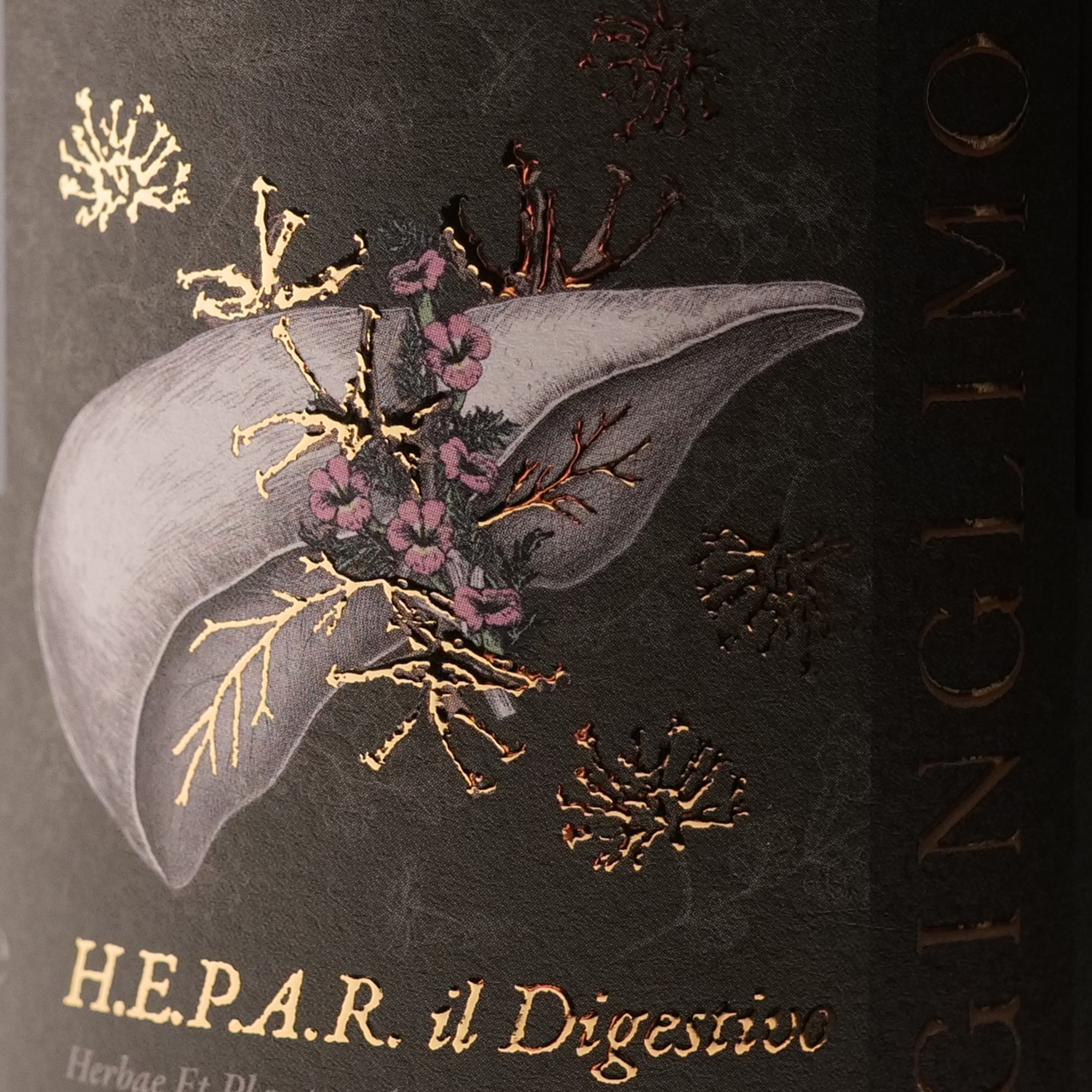 COR + HEPAR - immagine 7